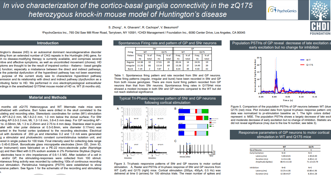 In vivo characterization of the cortico-basal ganglia connectivity in the zQ175 heterozygous knock-in mouse model of Huntington’s disease