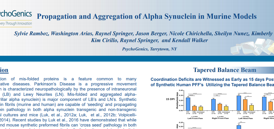 Propagation and aggregation of alpha synuclein in murine models